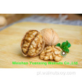 High Qulit Walnut jądra światła na sprzedaż